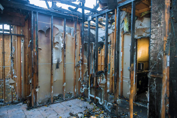 Professional Fire Damage Removal technician working in Edmundson, MO